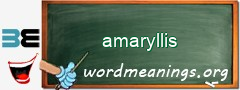 WordMeaning blackboard for amaryllis